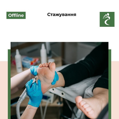 Індивідуальне навчання 